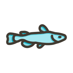 peixe-gato Ícone