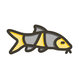 Clown loach icon