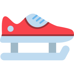 Skate shoes icon