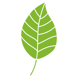 잎 icon