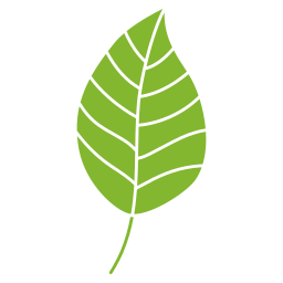 Leaf icon