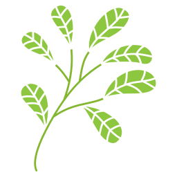 foglie di ramo icona