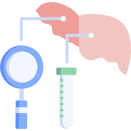 Liver function test icon