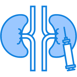 Kidney icon