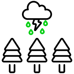 regenwoud icoon