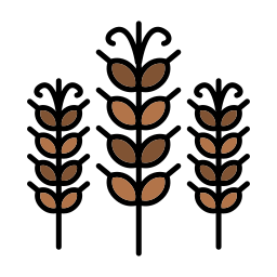 Wheat icon