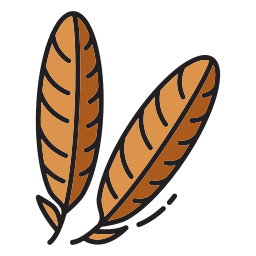 Feather icon