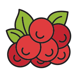 Berry icon