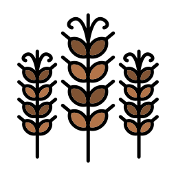 Wheat icon