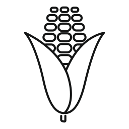 옥수수 속 icon