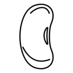 ラジアータ icon