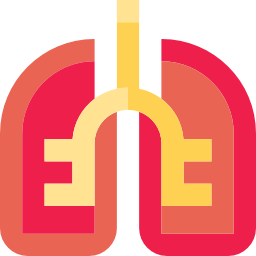 폐 icon