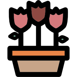 tulpen icon