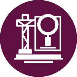 Inspection icon