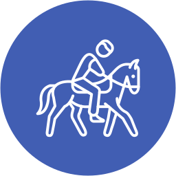 equitación icono