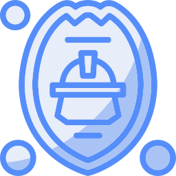 Shield icon