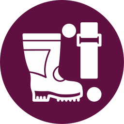 Boots icon