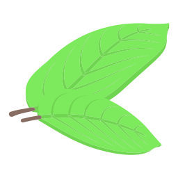 foglie icona