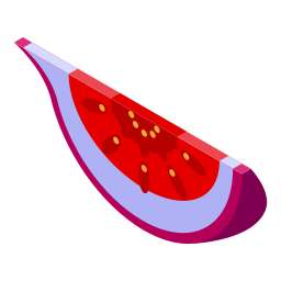 Slice icon