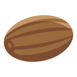 Nut icon