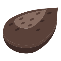 Seed icon