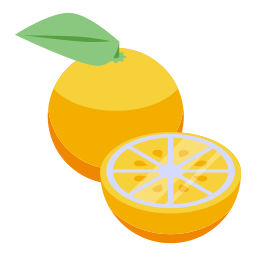 zitrusfrüchte icon