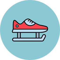 Skate shoes icon