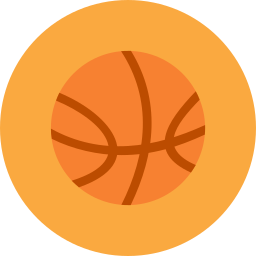 Basket ball icon