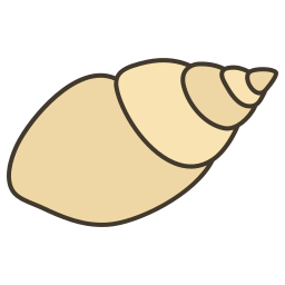 Seashell icon