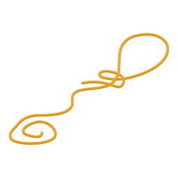 String icon