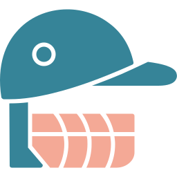 Cricket helmet icon