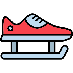 Skate shoes icon