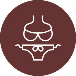 bikini icon