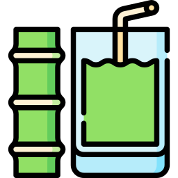 Sugarcane juice icon