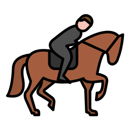 equestre Ícone