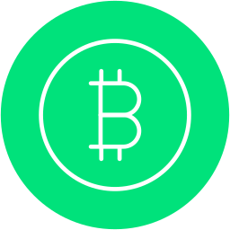 Bitcoin icon