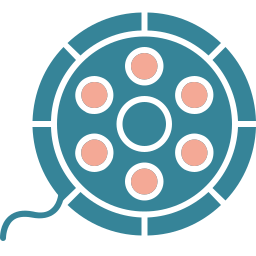 Film reel icon