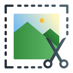 Screenshot icon