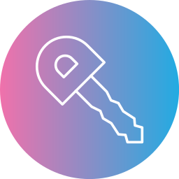 Car key icon