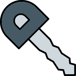 Car key icon