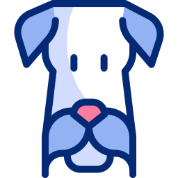 미니슈나우저 icon