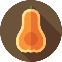 butternut-pompoen icoon