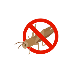 Insect icon