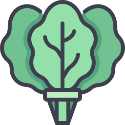 Spinach icon