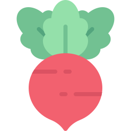 Radish icon