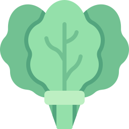 Spinach icon