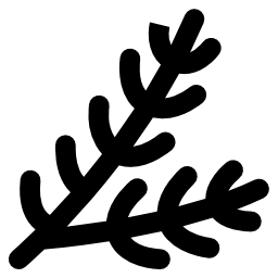 スプルース icon