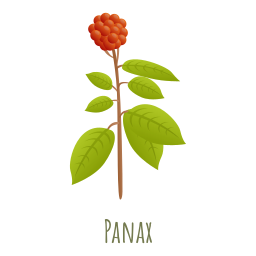 panax icoon