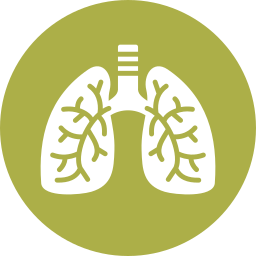 pulmones icono