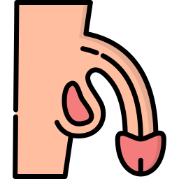 Penis icon